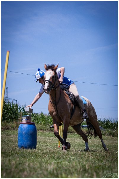 Mounted Games 217